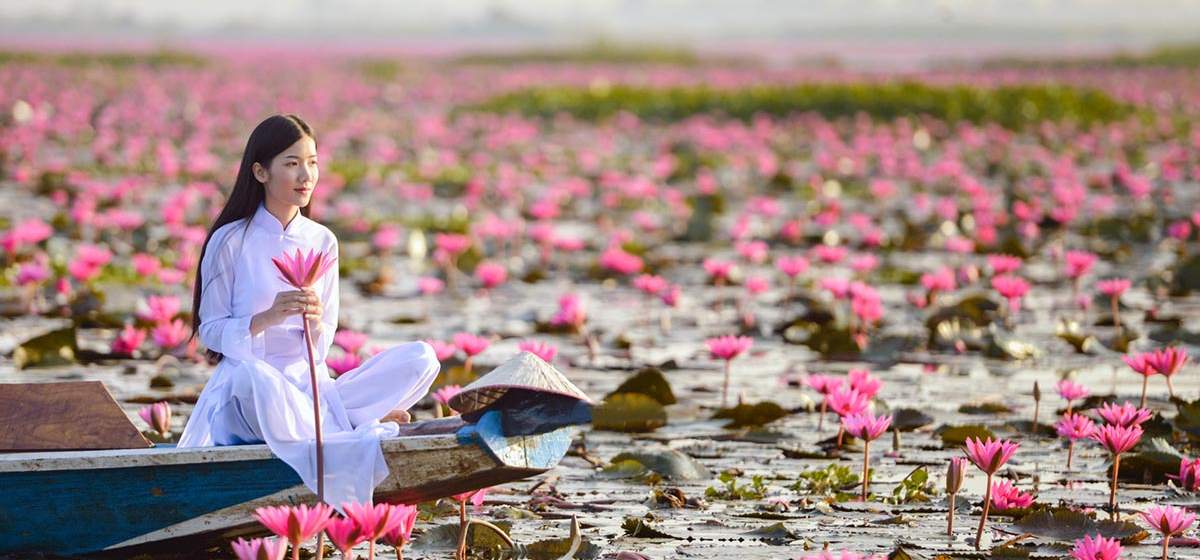 The little language lexicon: the Vietnamese language