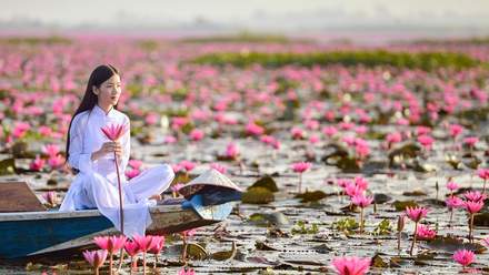 The little language lexicon: the Vietnamese language